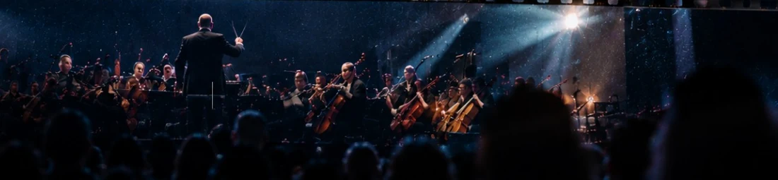 La orquesta y su director en plena actuación, vistos desde el público